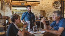 6 Wine Tasting in Valpolicella Classica: the cradle of Amarone