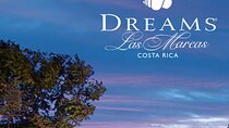 Private Shuttle From Liberia Airport to Dreams Las Mareas