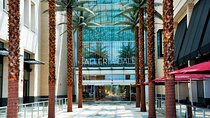 Dallas Best of Shopping Malls in the Luxury Private Limousine