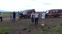 6 Days Tanzania Wildlife Camping Safari