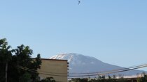 Day Trip to Kilimanjaro National Park