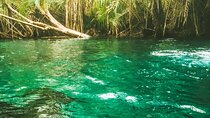 Private Full-Day Materuni Waterfalls and Kikuletwa Hotspring
