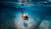 Private Guided Snorkeling in Cabo San Lucas
