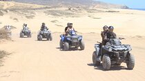 Los Cabos Beach & Desert Tour in Automatic Atv + Tequila Tasting