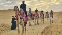 Giza Pyramids by Camel