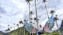 Cocora Valley and Salento Hike Tour 
