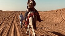 Exclusive Evening Desert Safari