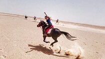 Horse Riding 02 Hours Beach or Desert