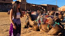Private Camel Ride In Agafay Desert Hotel Pickup and Drop-Off