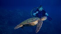 Discover Scuba Diving Class from Lahaina