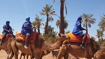 Adventure Quad Biks & Camel Ride 