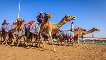 Al Ain Tour from Abu Dhabi