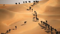 Full Day LIWA 4x4 Safari With Lunch Included From Abu Dhabi