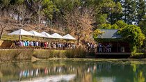 Boatshed Experience