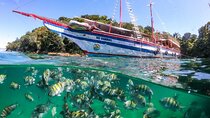 Angra dos Reis and Ilha Grande, Boat Ride from Rio Lunch and Transport