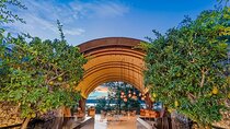 Shuttle From Liberia Airport To Andaz Papagayo Resort - Costa Rica