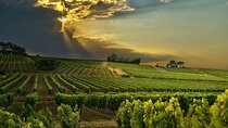 Best Cape Winelands Day Tour from Cape Town Hotels
