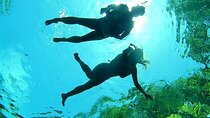 VIP Cenotes Private Tour (half-day)