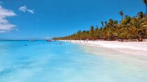 Saona Island Day Trip + Lobsters Included in Uvero Alto