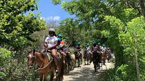 ATV and Horse Riding in Puerto Plata / Shore Excursion & Hotel