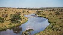 5 Day Camping Safari at Lake Manyara, Serengeti and Ngorongoro 