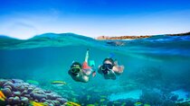 Negril Seven Miles Beach, Snorkeling, Boat Ride, Ricks Cafe Combo