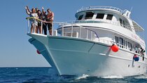 From Hurghada: Paradise island, Snorkelling, Food and drinks