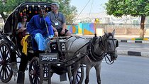 City tour in Luxor by horse carriage