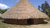 Ancestral Thought Tour (Indigenous life in Kogui people) Santa Marta