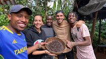 Private Materuni Waterfalls Hiking and Coffee Tour 