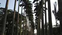 Aburi Gardens Transfers