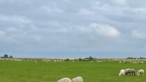 Tour in Texel