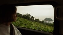 TXAKOLI vineyards HIKE, ZUMAIA and GETARIA - Private Outdoor & Gastronomic Tour