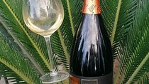 Tour Ercolano Excavations, Lunch and Wine Tasting from Sorrento