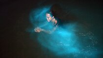 Luminous lagoons Private Nights Tours From Montego Bay 