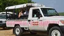 Discovery Safari