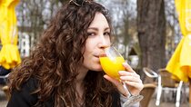 Private Tour in The Hague with a local with food tasting