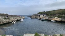 Giants Causeway & Antrim Coast Private Tour