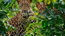 Two Day and One Night Safari From Zanzibar
