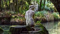 Guided tour of the Royal Palace of Caserta with an art expert