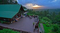 Shuttle To Arenal Observatory Lodge & Spa, From Liberia Airport