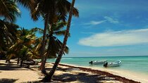 Full Day Tour to Saona Island by Catamaran from Cabeza de toro