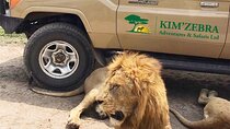4 Days Tanzania Authentic Camping | Lodge Safari