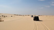 From Agadir or Port Trip to Small Sahara of Massa and Tiznit with Lunch