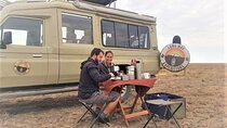 4 Days:tanzania Budget Safari
