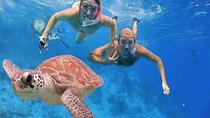 Private Day In Sharm El Sheikh From Cairo By Flight