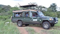 Private 7 Days Kenya Safari Amboseli, Naivasha, Nakuru, Mara