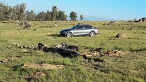 O R Tambo Airport Transfers: Sandton, Rosebank and Melrose