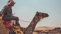 Private 2 Hours Camel Ride or Horse Around The Pyramids