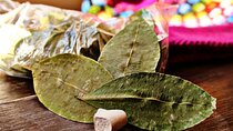 Coca Leaf Oracle Reading (Private Online Zoom Session)
